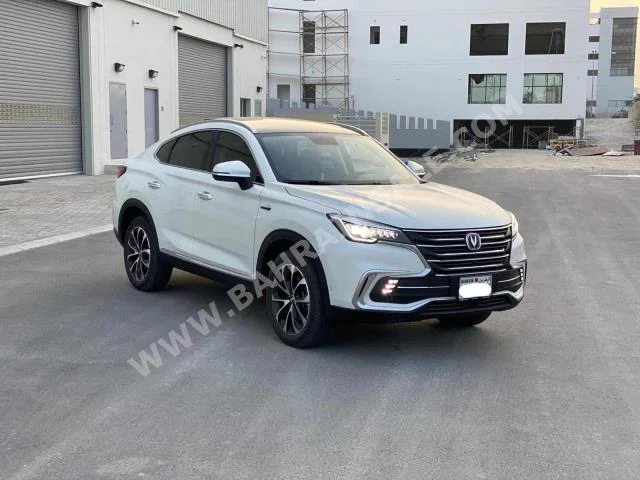 سانغ يونغ  كايرون  2021  اس يو في  اتوماتك  4  23,950  دفع أمامي  أبيض  بنزين