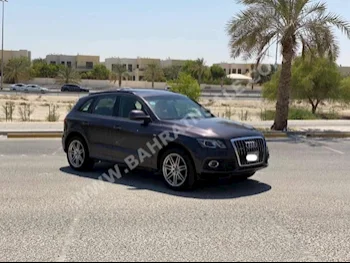 Audi  Q5  2010  SUV  Automatic  6  193,850  RWD  Gray  Gasoline