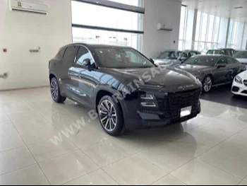 شيري  شيري  2024  اس يو في  اتوماتك  4  2,900  دفع أمامي  أسود  بنزين