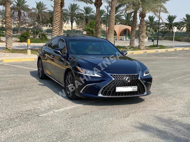 Lexus  ES  350  2022  Sedan  Automatic  6  13,600  RWD  Blue  Gasoline