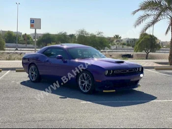Dodge  Challenger  2019  Sedan  Automatic  6  31,000  RWD  Purple  Gasoline