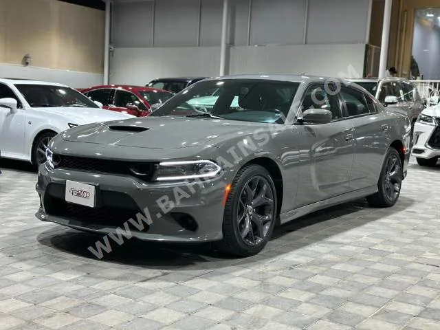 Dodge  Charger  2019  Sedan  Automatic  6  170,000  RWD  Gray  Gasoline