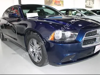 Dodge  Charger  RT  2014  Sedan  Automatic  6  49,000  RWD  Blue  Gasoline