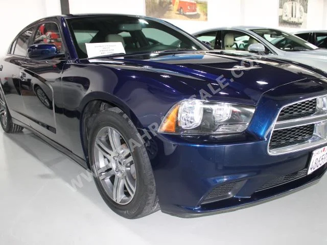 Dodge  Charger  RT  2014  Sedan  Automatic  6  49,000  RWD  Blue  Gasoline