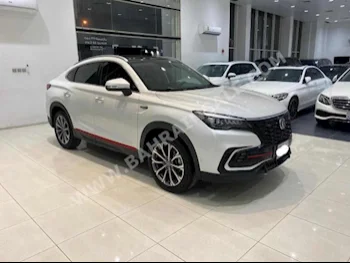 شيري  شيري  2022  اس يو في  اتوماتك  4  21,100  دفع أمامي  أبيض  بنزين