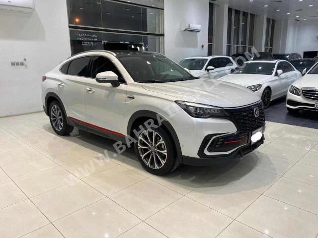 شيري  شيري  2022  اس يو في  اتوماتك  4  21,100  دفع أمامي  أبيض  بنزين