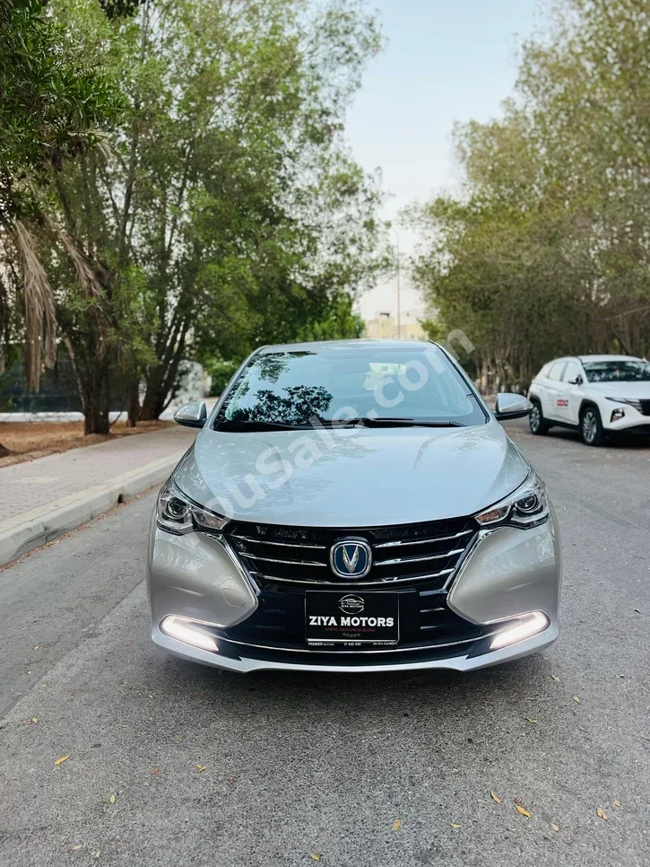 شانجان  السفين  2025  اتوماتك  4,200 كم  4 سلندر  سيدان  فضي  تحت الضمان