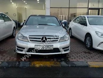 Mercedes-Benz  C-Class  250  2012  Sedan  Automatic  4  112,000  RWD  Silver  Gasoline