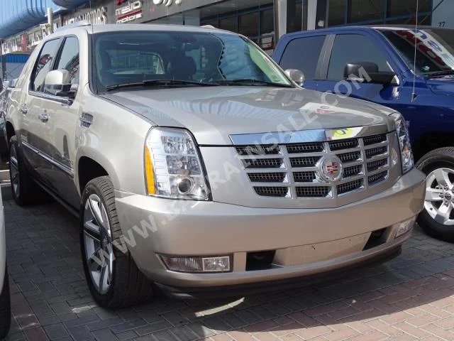 Cadillac  Escalade  EXT  2008  Pick Up  Automatic  8  289,000  4WD  Silver  Gasoline