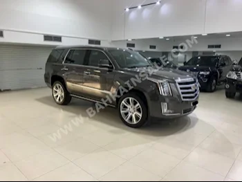 كاديلاك  اسكيليد  2020  اس يو في  اتوماتك  8  660  دفع رباعي  رمادي  بنزين