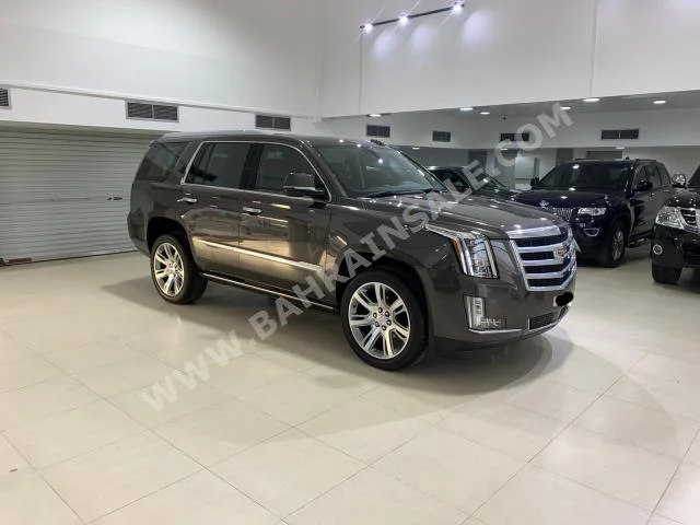 كاديلاك  اسكيليد  2020  اس يو في  اتوماتك  8  660  دفع رباعي  رمادي  بنزين