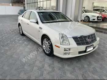 Cadillac  STS  2008  Sedan  Automatic  6  141,000  RWD  White  Gasoline
