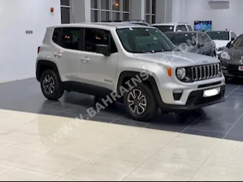Jeep  Willys  2020  SUV  Automatic  4  19,000  RWD  Silver  Gasoline