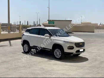 Chevrolet  Optra  2021  SUV  Automatic  4  600  FWD  White  Gasoline