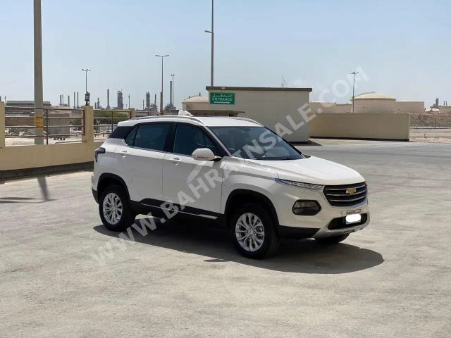 Chevrolet  Optra  2021  SUV  Automatic  4  600  FWD  White  Gasoline