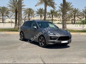 بورش  كيان  جي تي اس  2013  اس يو في  اتوماتك  8  75,350  دفع كلي مستمر  رمادي  بنزين